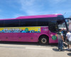 여름 성수기 동해시티투어버스가 금요일도 운행해요