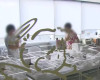 정선군에서 아기 낳으면 산후조리비 백 만원 지급